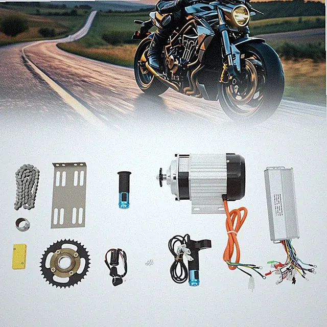 Electric Brushless Motor Set Electric Tricycle Motor Kit 48 V 1000 W 500kg max.