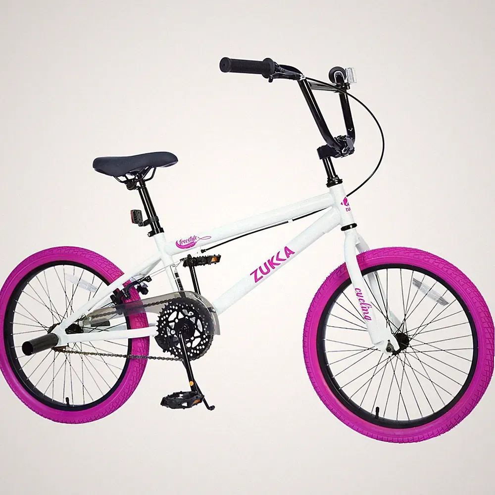 Kids Bike 20 Inch Single Speed Children's Bicycle for Boys Girls Age 7+ Years