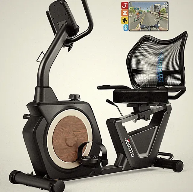 Recumbent Exercise Bike for Home, Magnetic Recumbent Bike for Seniors Adults, 40
